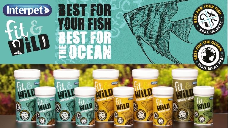 Interpet brings out new fishmeal-free Fit & Wild Aquarium Fish Food
