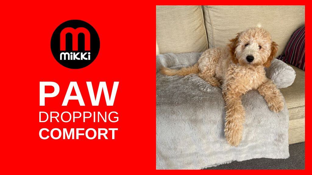 Mikki Sofa Snuggler website banner (1)