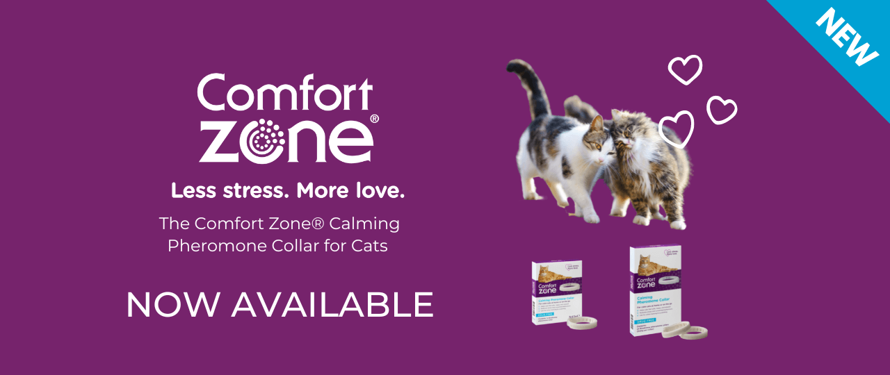 Interpet Launches Comfort Zone Brand In The UK