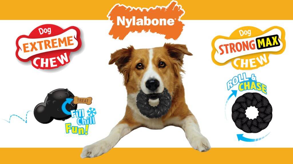 Nylabone Jan23 NPD Corporate PR Image (1)