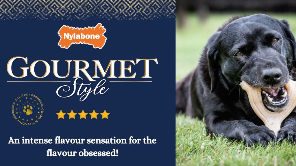 Nylabone Gourmet Homepage Banner (1) (1)