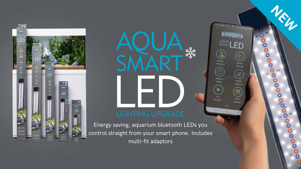 Aqua Smart Web Banner (1024 x 576 px)